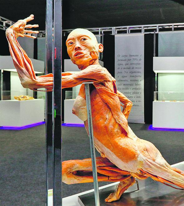 Corpo feminino na exposição do Shopping Iguatemi: técnica de plastinisação criada nos anos 70 preserva ao máximo o corpo sem vida (Divulgação)