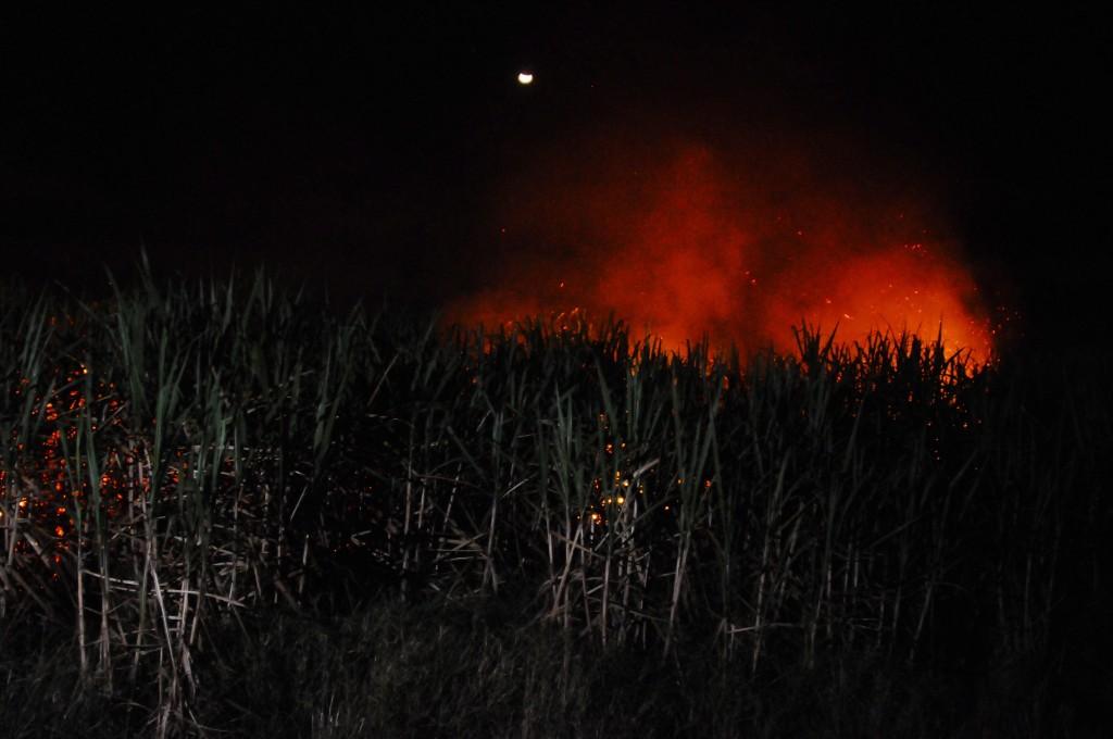 Inc&ecirc;ndio causou transtornos aos moradores do condom&iacute;nio Alphaville 2, que tiveram as casas invadidas por fuligem e fuma&ccedil;a (Elcio Alves)