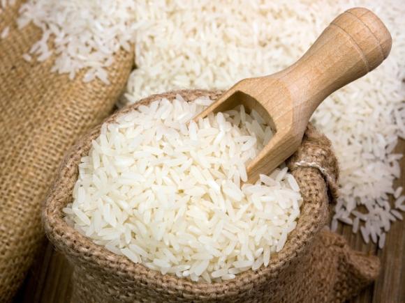 Um novo jeito de plantar arroz (Divulgação)