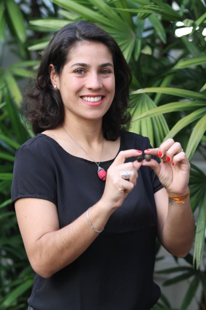 &quot;Como &eacute; reconhecida a necessidade de conservar a diversidade biol&oacute;gica existente, a pol&iacute;tica de uso de esp&eacute;cies vegetais que constam em listas vermelhas determina que, atrelado &agrave; utiliza&ccedil;&atilde;o de uma esp&eacute;cie amea&ccedil;ada de extin&ccedil;&atilde;o, existir&aacute; um projeto de conserva&ccedil;&atilde;o&quot; (Adriano Rosa/Especial para a Metrópole)