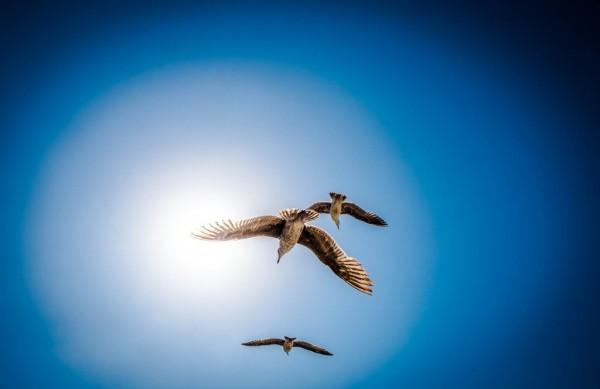 Imagem do fot&oacute;grafo Giancarlo Giannelli que integra a exposi&ccedil;&atilde;o 'Trotamundo ou Mirando Minhas Desconhecidas Cidades'  (Giancarlo Giannelli/Divulgação)