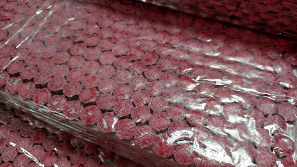 Os 13,2 quilos de ecstasy estavam na bagagem pessoal do acusado (  Divulgação)