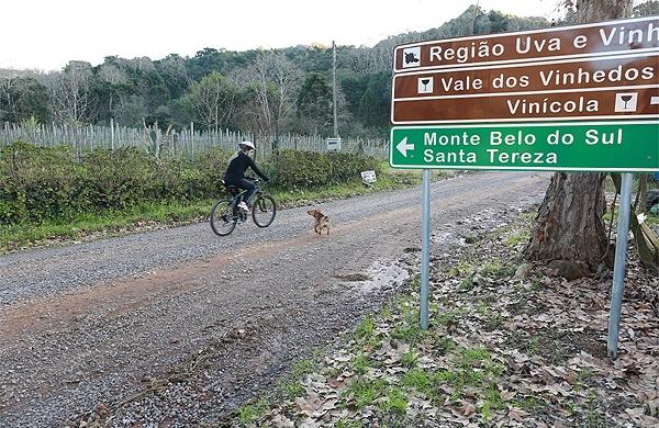 Turista faz rota das vin&iacute;colas  ( Leandro Ferreira/ AAN)