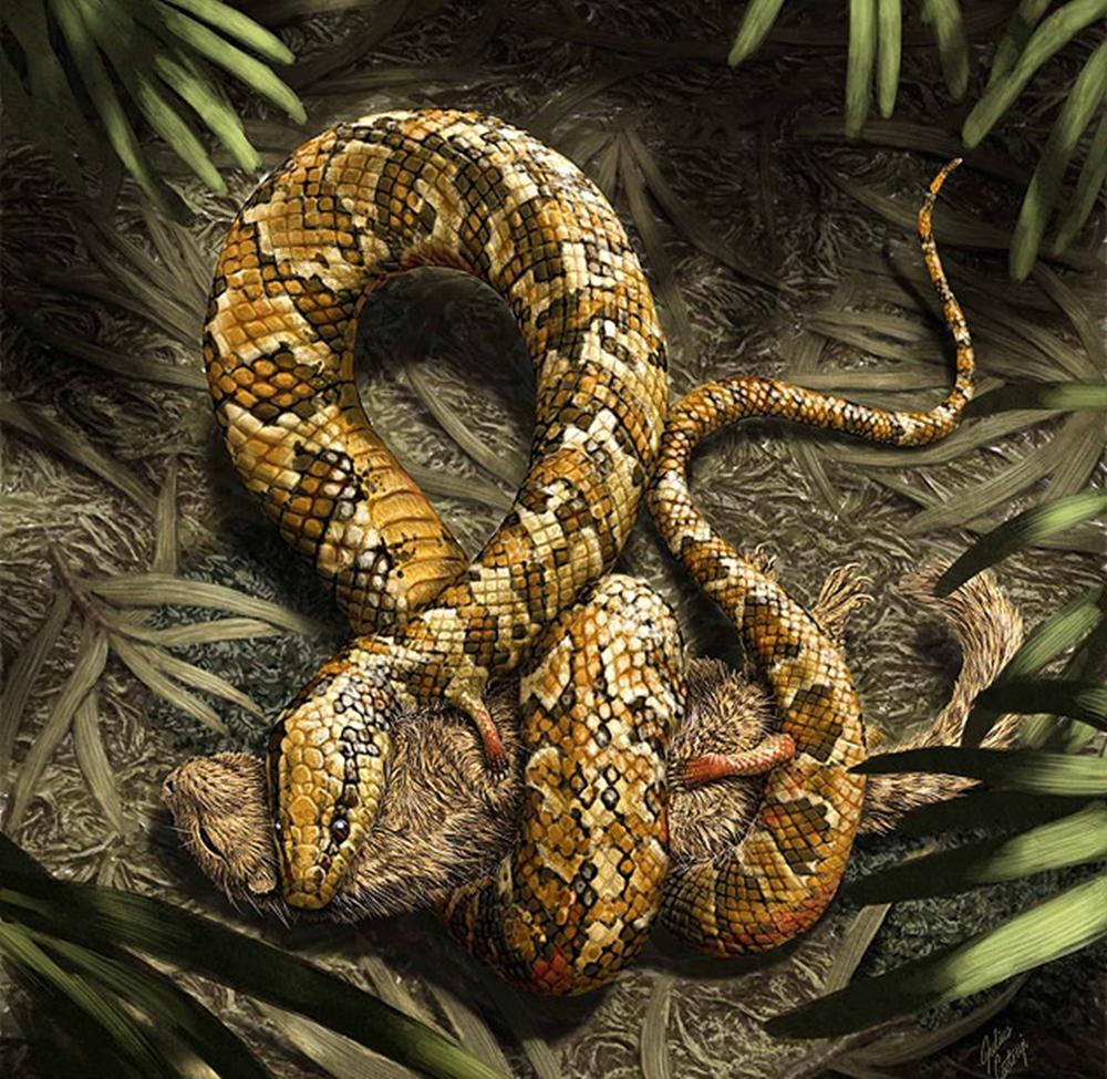 Reconstru&ccedil;&atilde;o art&iacute;stica da cobra de quatro patas que viveu no Cear&aacute; ( Reprodução)