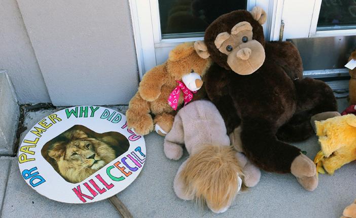 Walter Palmer permanece foragido enquanto multid&otilde;es deixam bichinhos de pel&uacute;cia em forma de le&otilde;es, tigres e macacos em frente a seu consult&oacute;rio, em Minnesota (France Press)