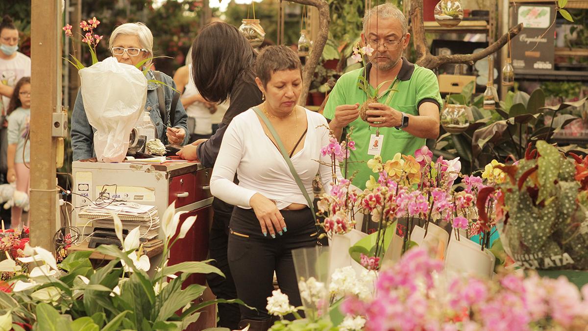 Milhares de filhos recorreram ao Mercado de Flores da Ceasa para assegurar o presente das mães (Kamá Ribeiro)