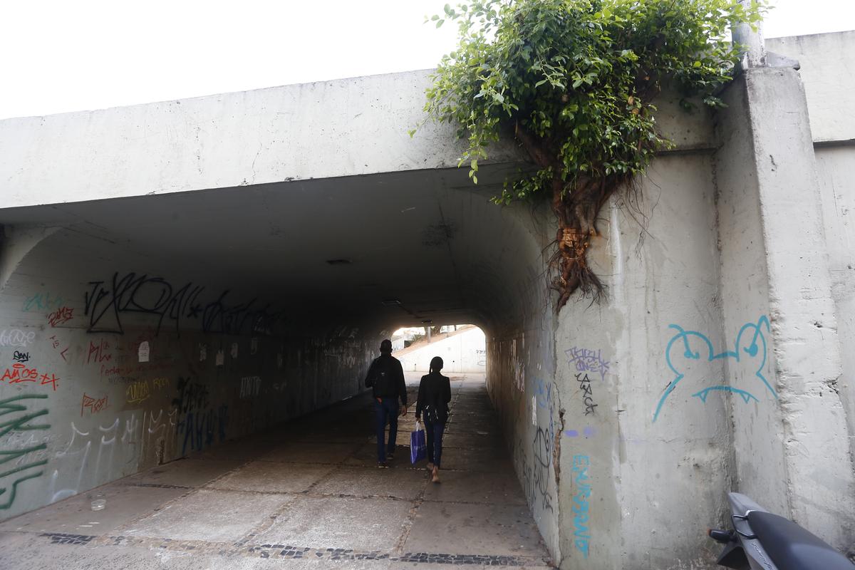 Raízes da árvore provocam fissuras no concreto na entrada do túnel de pedestres na esquina das Ruas Falcão Filho e Marechal Deodoro (Gustavo Tilio)