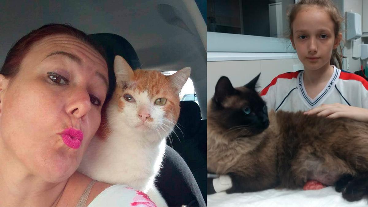 A veterinária Jacqueline e a filha Beatriz adotaram dois gatos que foram abandonados (Arquivo Pessoal)