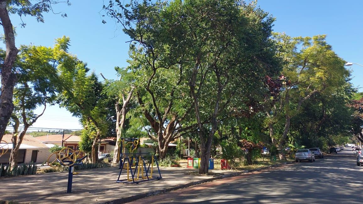 A Praça do Coco, em Barão Geraldo, é o roteiro do projeto Caminadas Verdes deste domingo, dia 29 (Denise Alemar Gaspar)