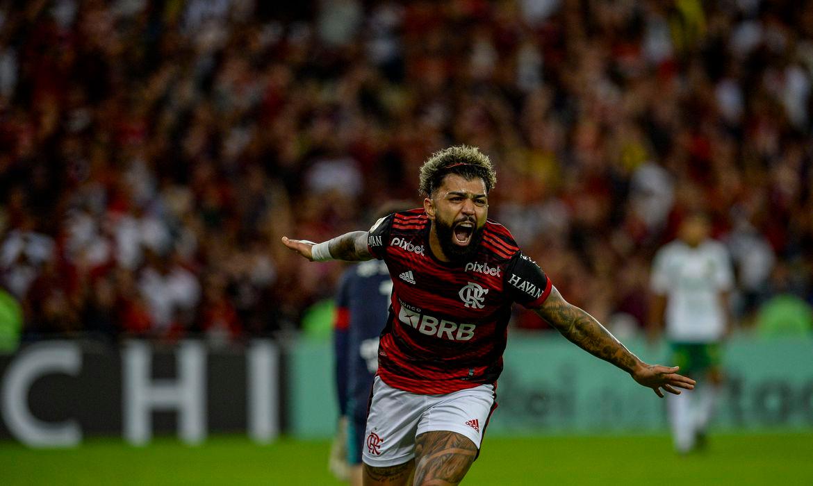 Internacional derrota Goiás por 2 a 1 no estádio da Serrinha (Marcelo Cortes/ Flamengo)