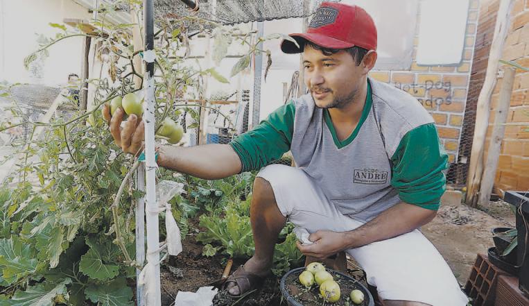André Nascimento Amorim Santos, morador do Terras de Santa Maria, fez uma horta nos fundos de seu quintal, onde planta hortaliças e frutas para sua família, parentes e vizinhos (Gustavo Tilio)