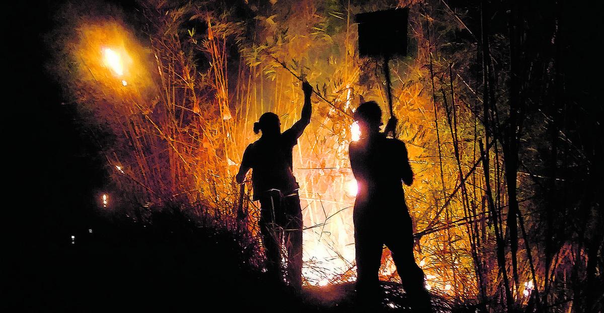 Integrantes da Brigada Popular Cachorro-do-Mato em ação de combate a incêndio em área de mata: focos de queimadas cresceram 40,9% este ano em relação ao mesmo período de 2021 (Divulgação)