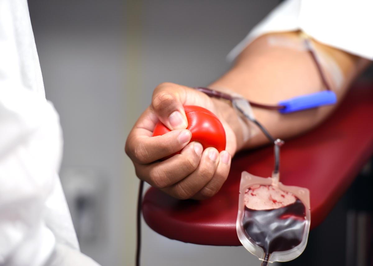Em Campinas, as doações de sangue podem ser feitas no Hemocentro da Unicamp, no posto de coleta do Hospital Mário Gatti e nas coletas externas móveis (Freepik)