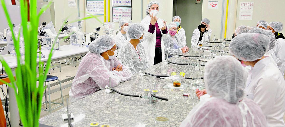 Pessoas idosas participaram de 20 oficinas oferecidas no semestre dentrodo projeto Vitalità (Divulgação)