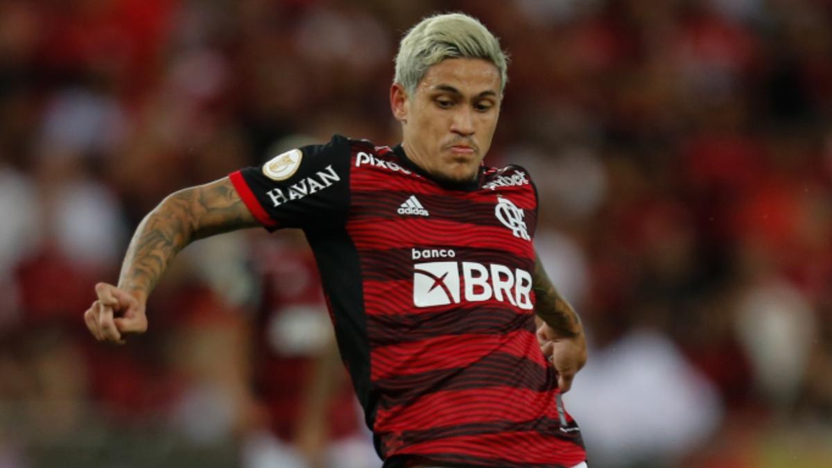 Pedro foi o responsável pelos dois gols do Flamengo contra o Avaí, na manhã deste domingo (Divulgação)