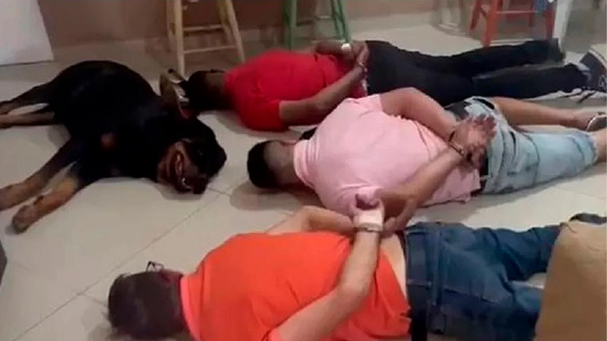 Agentes afirmaram que nunca viram uma cena parecida com esta (Reprodução)