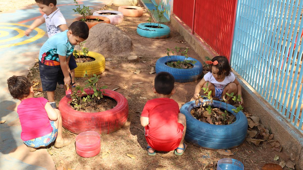Crianças de 3 e 4 anos de idade da Creche Municipal Antônia Joana Barsi Ferrari, no bairro João Aranha, em Paulínia, pintam os pneus usados para proteger as mudas do jardim (Dominique Torquato)