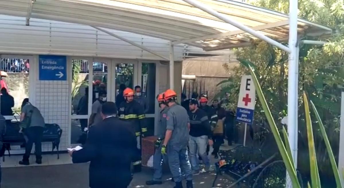 Corpo de Bombeiros e a Polícia Ambiental foram acionados para realizar o resgate (Isadora Stentzler)