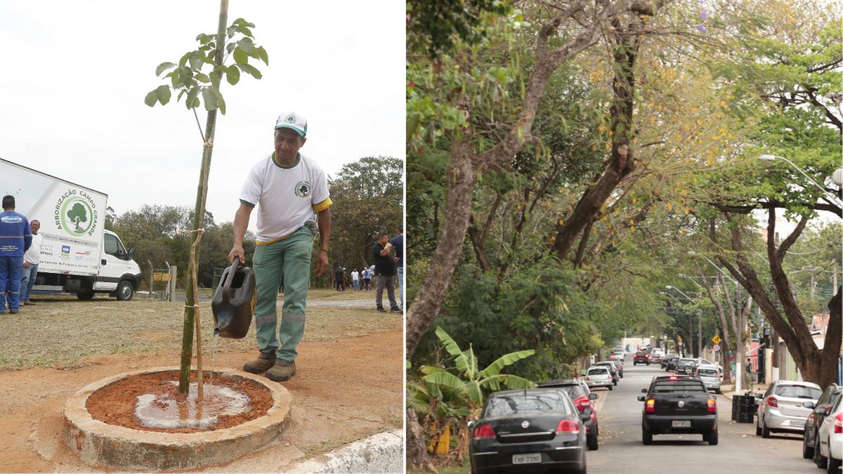 Campo Grande, onde plantio começou na quinta, é carente de áreas verdes — diferente de Barão Geraldo que tem alto patamar de arborização (Fotos: Gustavo Tilio e Rodrigo Zanotto)