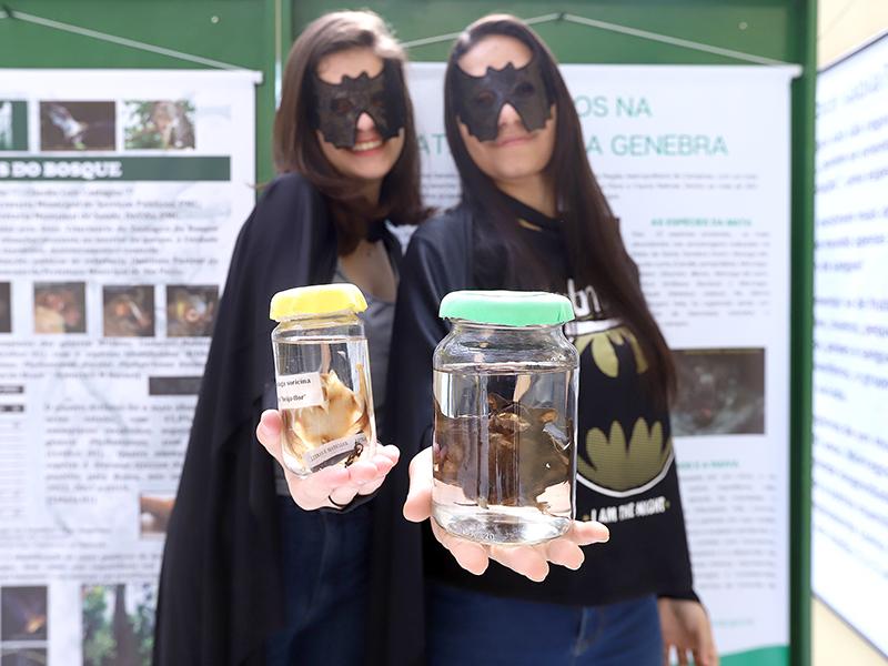 Animais Fantásticos: Bosque dos Jequitibás abre exposição sobre morcegos (Divulgação/ Fernanda Sunega)