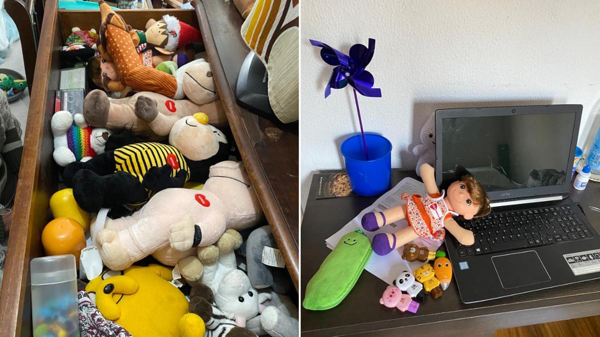 No apartamento do suspeito, os policiais encontraram vários bichos de pelúcia, bonecas e outros brinquedos (Divulgação)