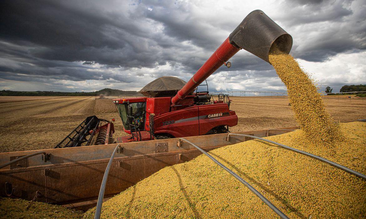 Números são do Levantamento Sistemático da Produção Agrícola (Wenderson Araujo/ Trilux)