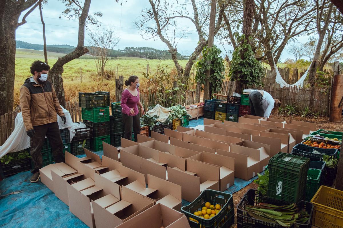 Folhas e legumes da horta e os cereais, raízes e frutas da agrofloresta são colocados em caixas para doação (Beatriz Ataidio)