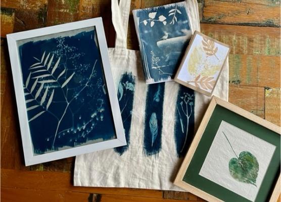 Pinturas, desenhos e ilustrações são algumas das linguagens artísticas que estarão expostas no Pavão Cultural neste fim de semana: música e performances completam a programação 