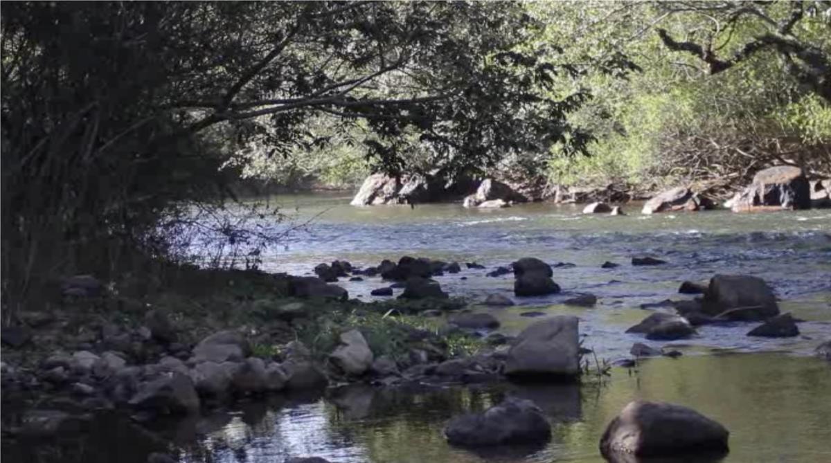 Pesquisas do PPG em Sustentabilidade buscam formas de preservar mananciais na RMC (Divulgação/Puc)