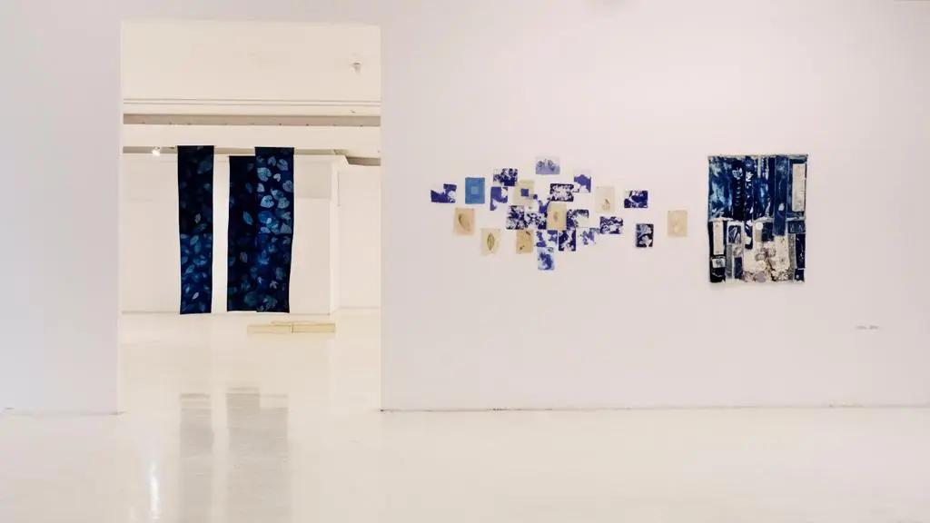 Objetos da natureza compõem as obras da mostra e provocam reflexões (Divulgação)