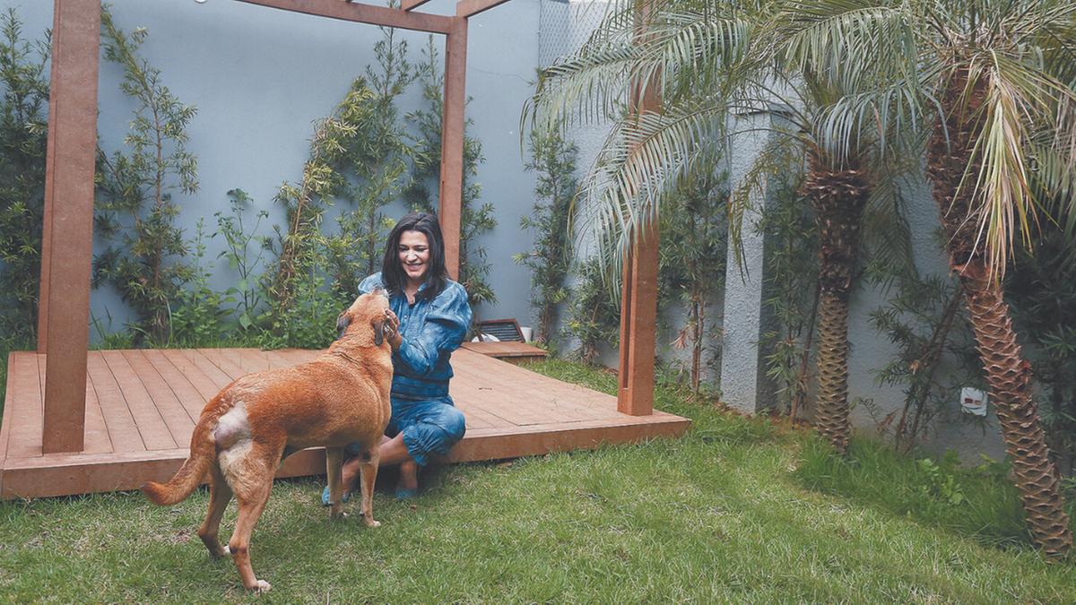 Rita Bisco do Hospital Veterinário Nova Campinas: cuidados dos tutores são essenciais para que os pets não se estressem ou se machuquem (Divulgação)