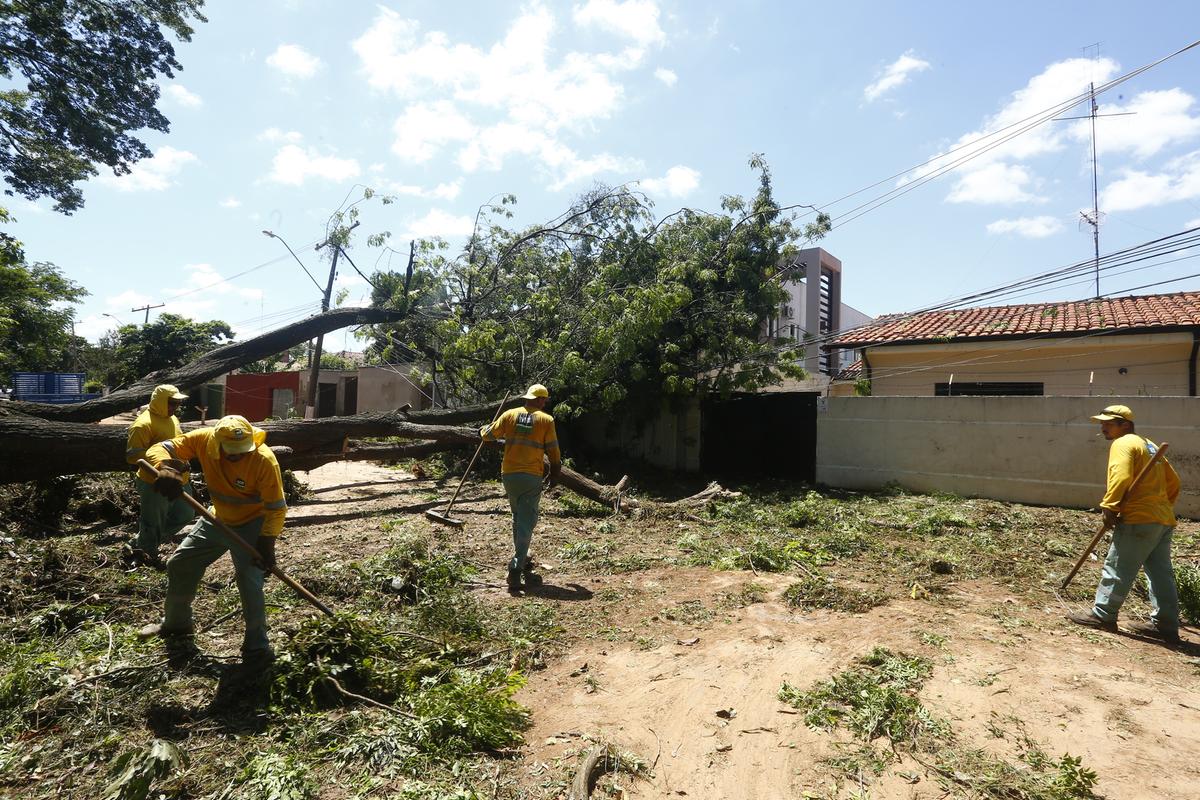 A queda de uma árvore manteve presa em casa as quatro famílias que residem em um condomínio na Rua Arlindo Carpino, no Novo Taquaral (Gustavo Tilio)