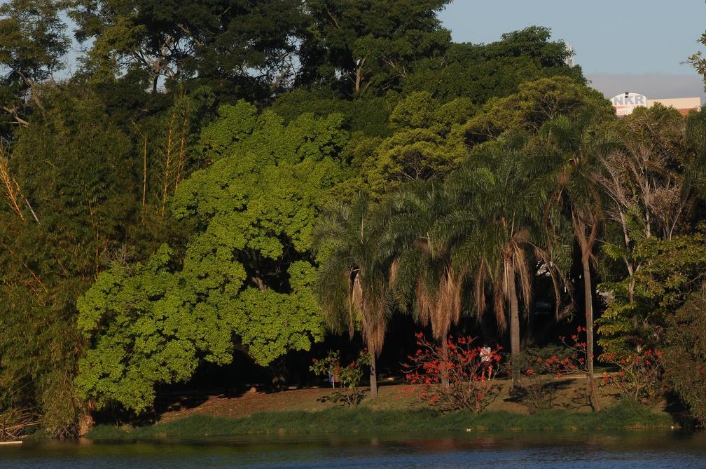 Lagoa do Taquaral (Carlos Bassan/ PMC)