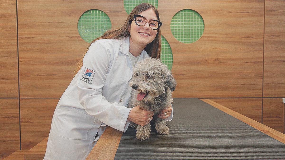 A veterinária Aline Molina alerta que a picada de carrapato pode  desencadear diversos sintomas (Rodrigo Zanotto)