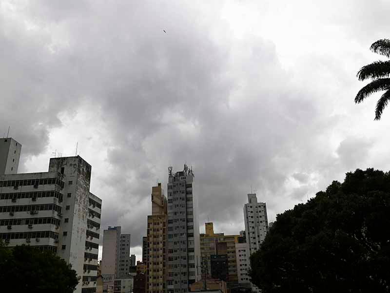 Defesa Civil registrou 16 quedas de árvores devido às chuvas do início da tarde (Eduardo Lopes/Arquivo PMC)