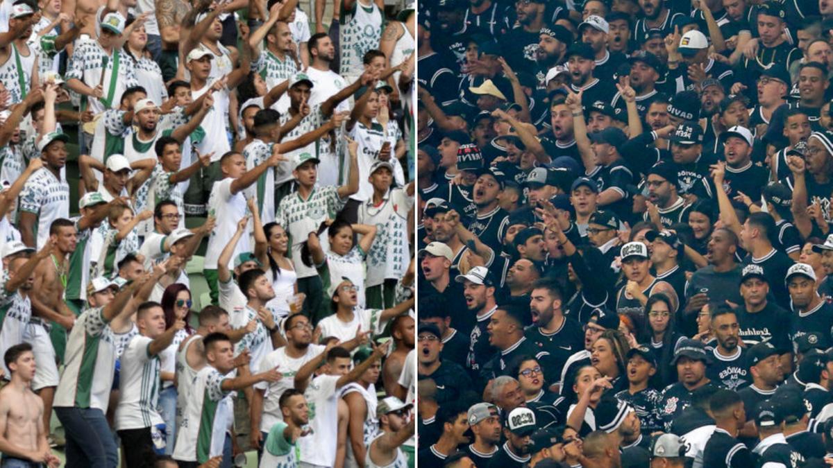 Torcedores de Palmeiras e Corinthians (Reprodução)