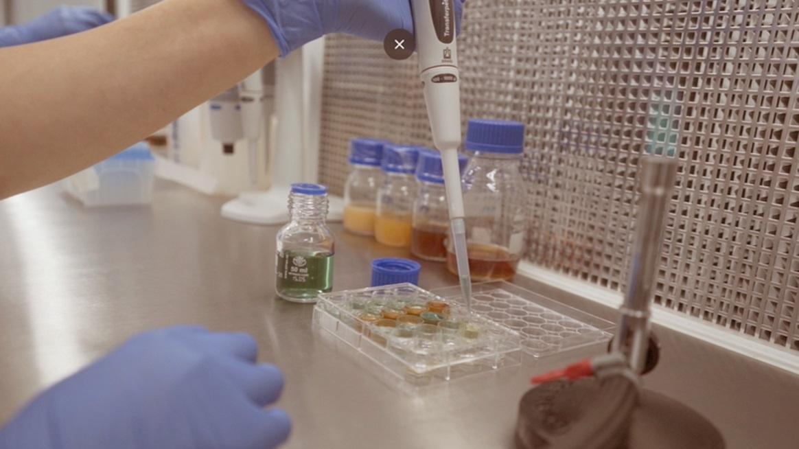 Laboratório de indústria de insumos biológicos com sede mundial em Vinhedo: recém-inaugurada, unidade gerou 70 novos postos de trabalho (Divulgação)