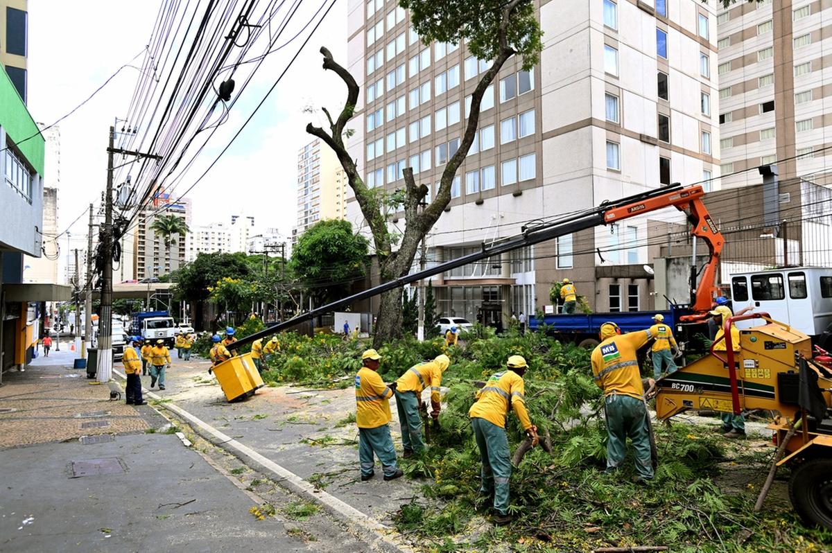 Departamento de Parques e Jardins (DPJ), da Secretaria de Serviços Públicos, iniciou um mutirão para a extração de árvores do canteiro central na Rua Abolição (Carlos Bassan/ PMC)