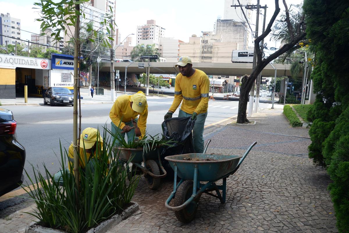 Funcionários plantam árvore na calçada da Av. Francisco Glicério: trabalho deve ser concluído em 30 dias (Alessandro Torres)