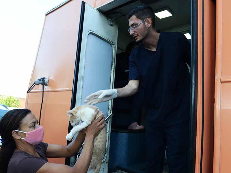 A esterilização ajuda a prevenir doenças como tumores de mama, útero, próstata, testículos e outras enfermidades (Arquivo PMC/Eduardo Lopes)