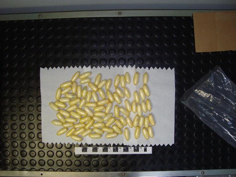 PF deflagra operação para reprimir crimes de tráfico internacional de drogas no corpo de passageiros (Divulgação)