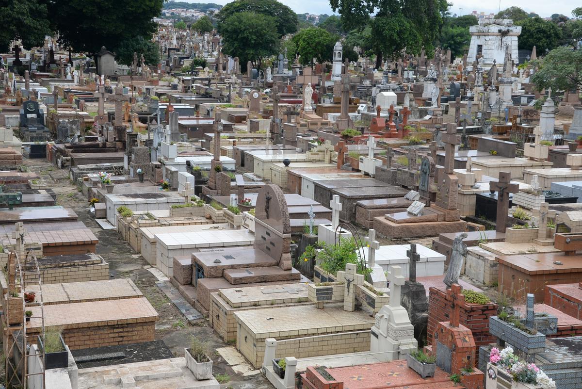 Famílias poderão sepultar seus animais de estimação em suas sepulturas, caso lei seja aprovada pela Câmara (Alessandro Torres)