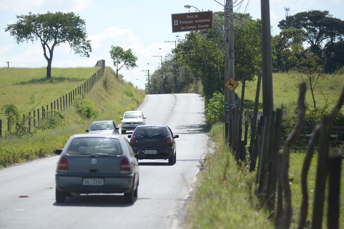 Falta de sinalização na Avenida Antônio Arten, que corta a APA Campo Grande, gera acidentes de trânsito, atropelamento de animais muitas vezes com óbito, riscos a pedestres devido falta de acostamento com mato alto (Alessandro Torres)