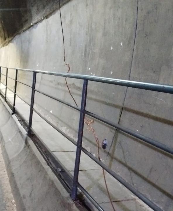 Fios de cobre que seriam subtraídos no túnel (Divulgação)