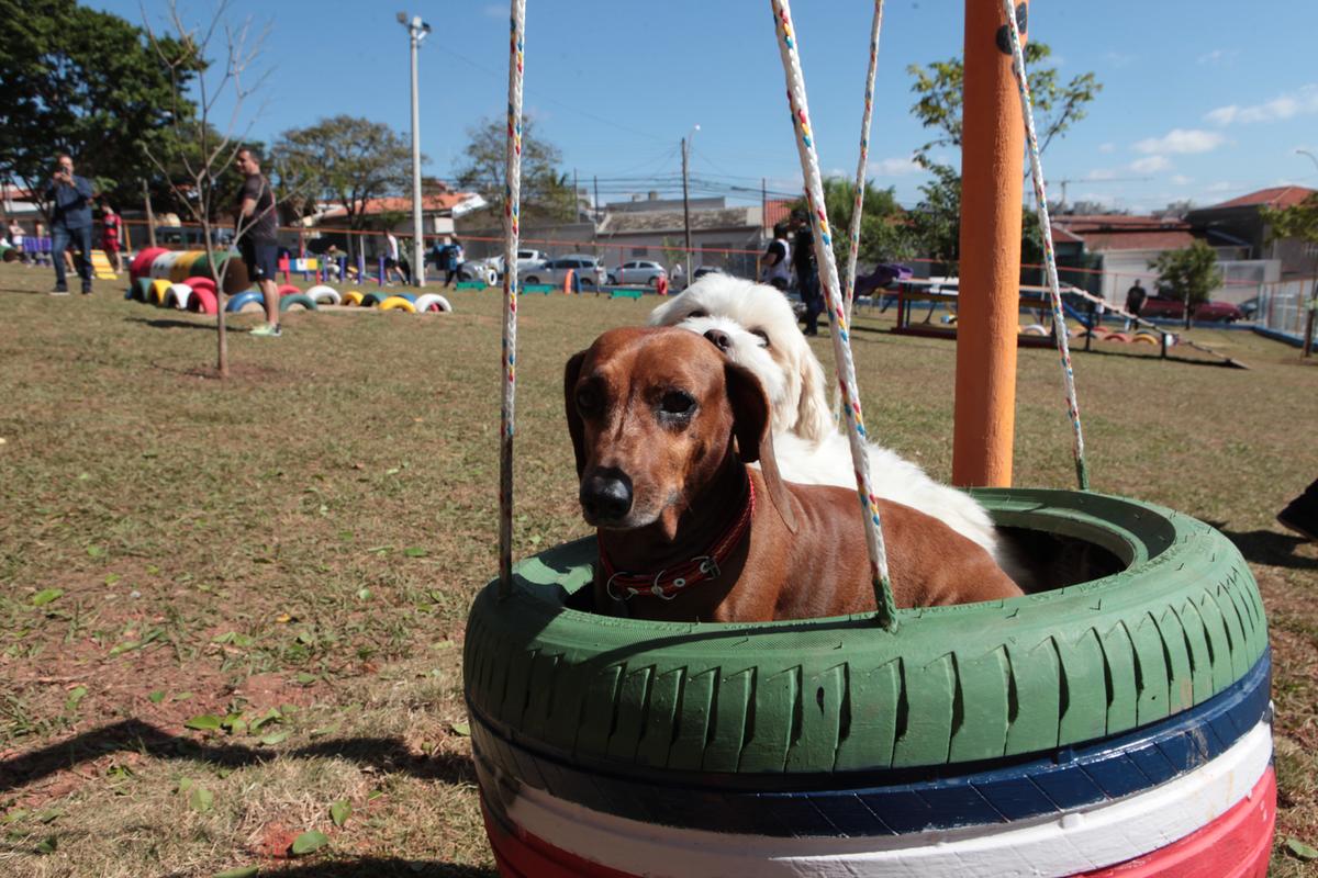 Os cães se divertiram nos brinquedos para pets no Parcão, inaugurado no Jardim Nova Europa (Rodrigo Zanotto)