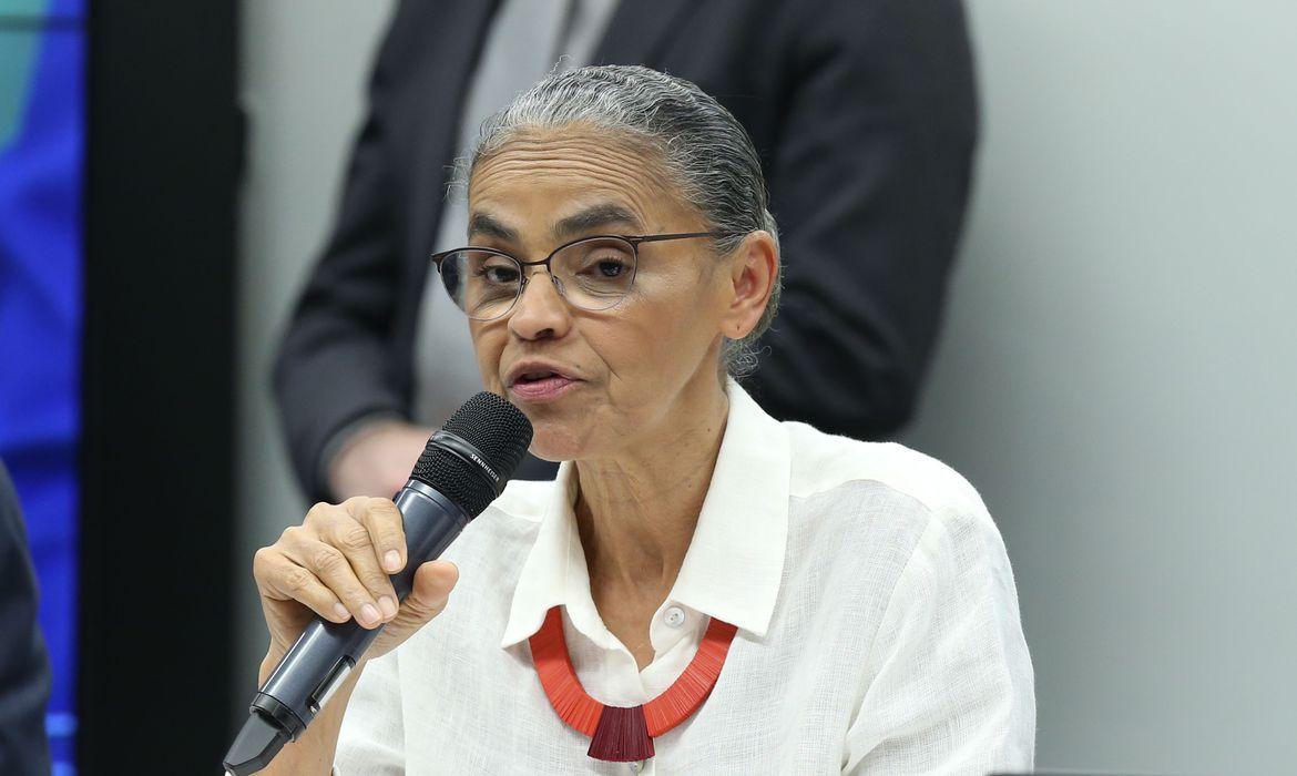 Texto altera regras previstas na Lei da Mata Atlântica (Lula Marques/ Agência Brasil)