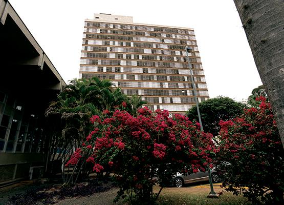 Na estrutura da Prefeitura, os agentes administrativos trabalham, principalmente, com os trâmites processuais e no atendimento ao público 