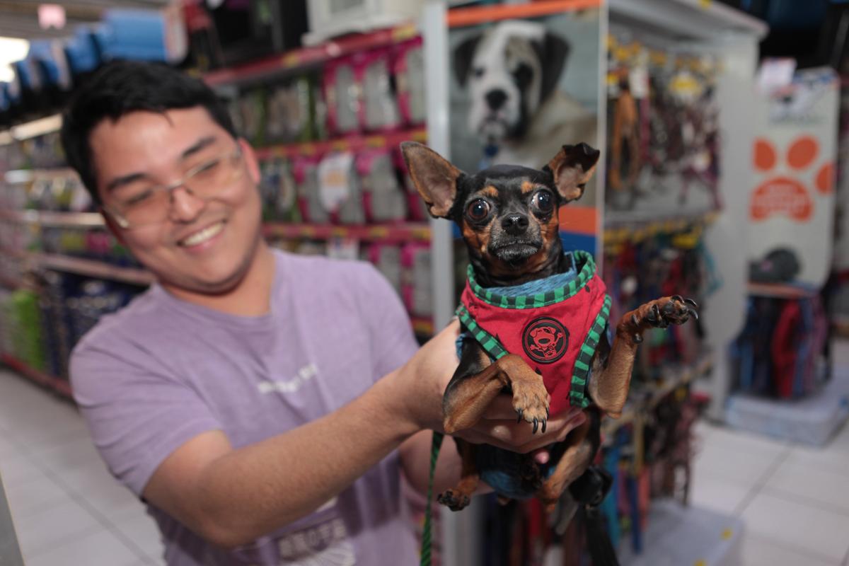 Biólogo Eduardo Yamamoto disse que não deixa o cão Simon, de 3 anos, na parte externa de casa no período de frio por ser um cachorro pequeno; ele mantém o pet protegido com roupinha e também com cobertinha (Rodrigo Zanotto)