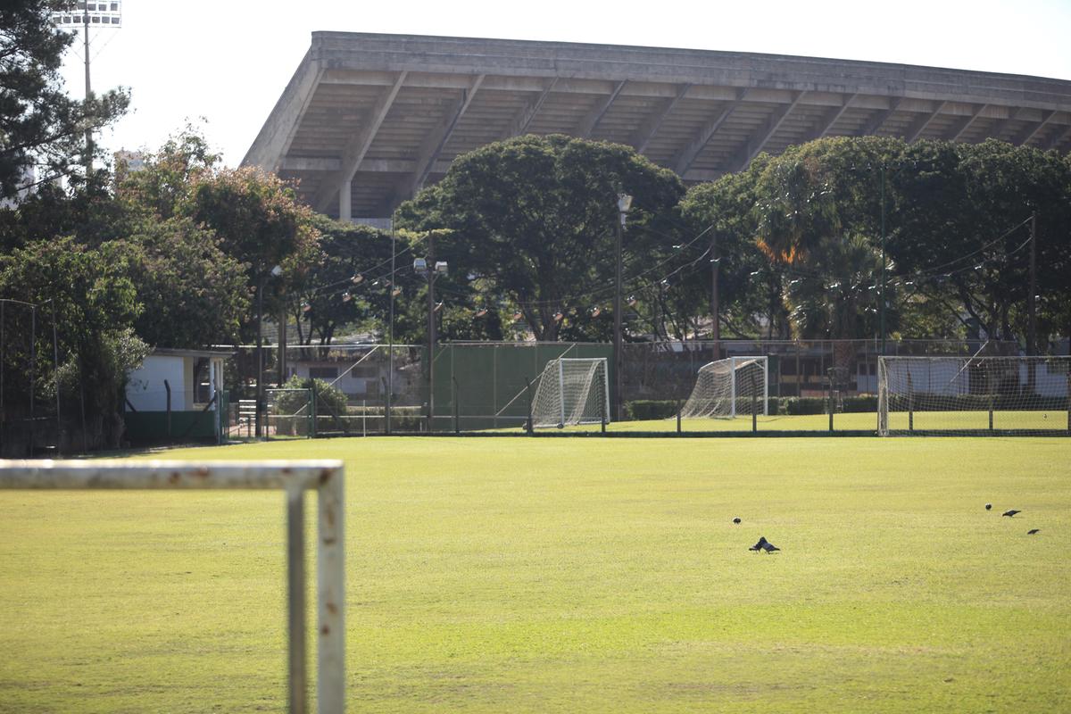 Jogadores do Guarani foram atacados por dois filhotes de pit bulls enquanto treinavam no Centro de Treinamento (CT) do clube, na Vila Lemos (Kamá Ribeiro)