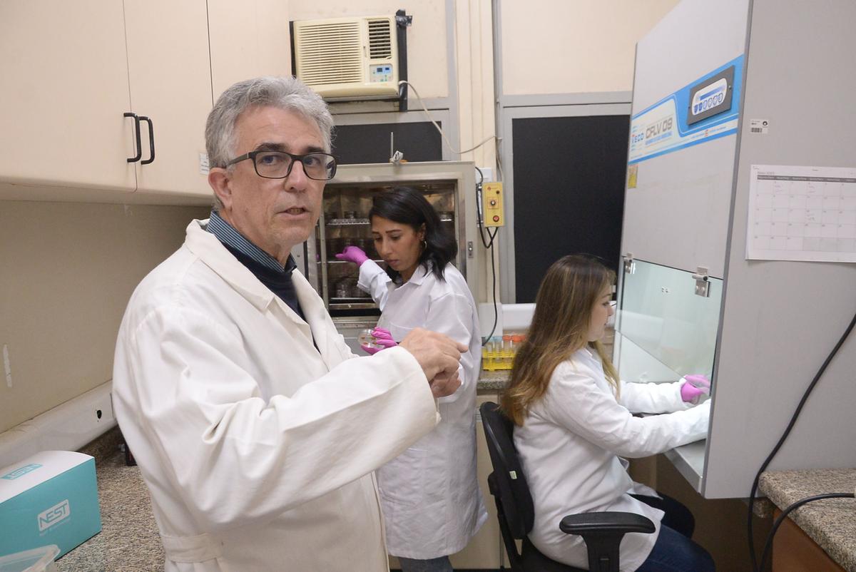 Coordenador do estudo, professor Marco Aurélio Zezzi Arruda, do Departamento de Química Analítica do IQ da Unicamp, explicou que a solução é composta por nutrientes e hormônios (Alessandro Torres)